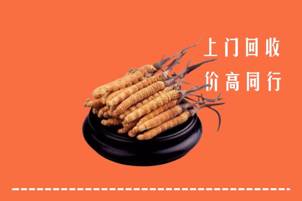 高价求购：雁峰区回收散虫草