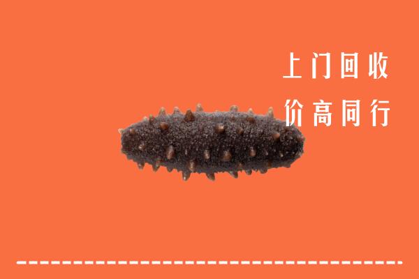 雁峰区回收海参